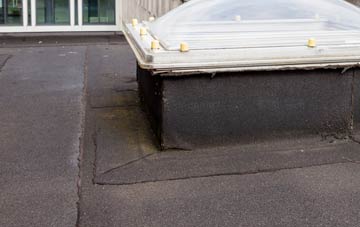 disadvantages of Nythe flat roofs